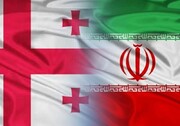 Iran, Georgia discuss Iranian investors' problems