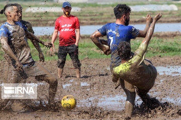 Le football dans la rizière (nord d'Iran)