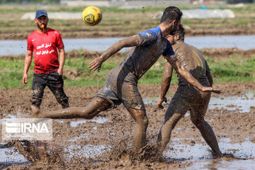 Le football dans la rizière (nord d'Iran)