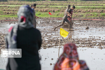 Le football dans la rizière (nord d'Iran)