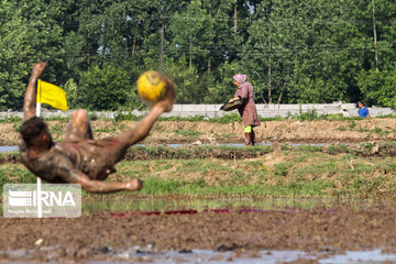 Le football dans la rizière (nord d'Iran)