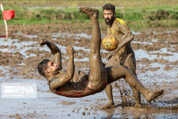 Le football dans la rizière (nord d'Iran)