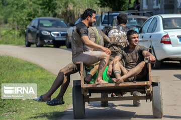 Le football dans la rizière (nord d'Iran)