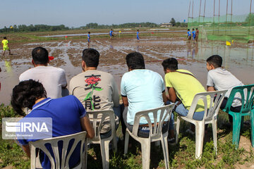 Le football dans la rizière (nord d'Iran)