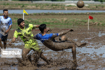 Le football dans la rizière (nord d'Iran)