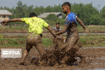 Le football dans la rizière (nord d'Iran)