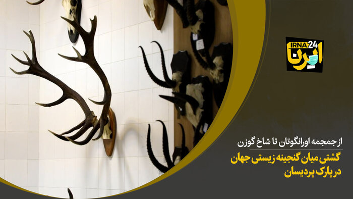 گشتی میان گنجینه زیستی جهان در پارک پردیسان