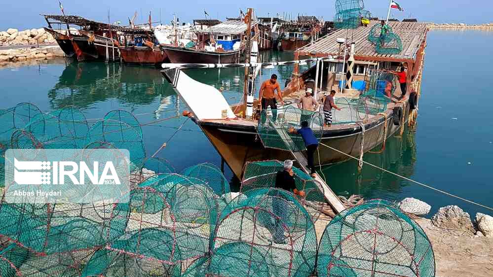 ویدئو / گرگور قفسی برای صید ماهی