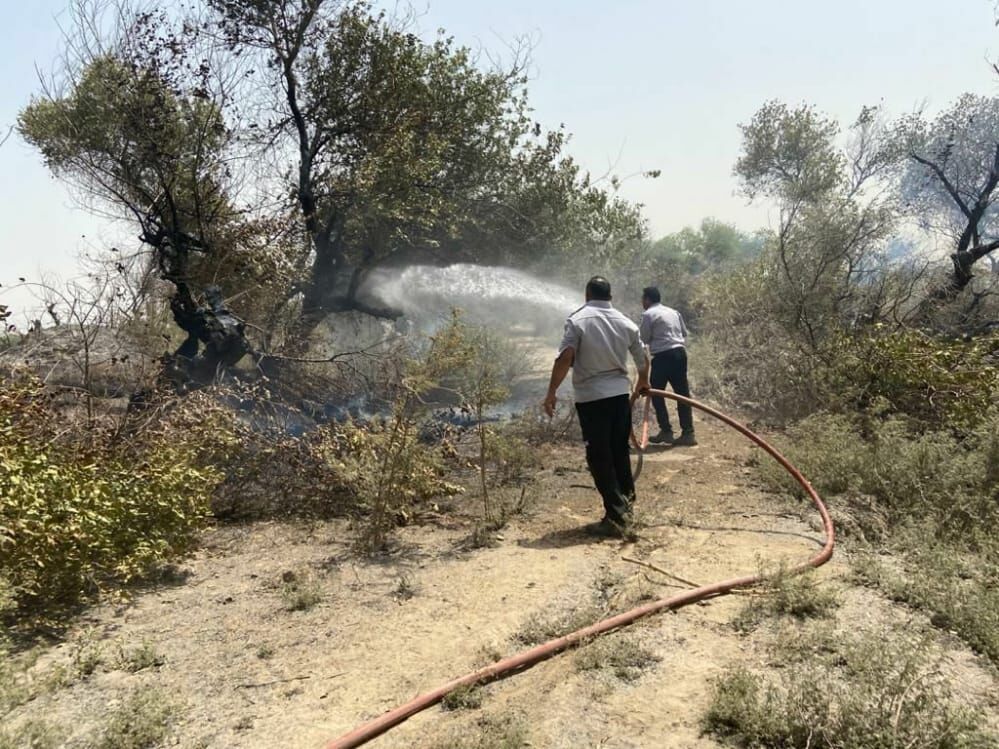 آتش سوزی جنگل کرخه در شهرستان شوش مهار شد
