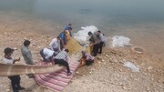  اجرای مرحله دوم رهاسازی بچه ماهیان در دریاچه سد شهید عباسپور اندیکا