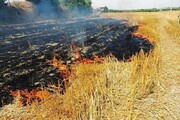 ۲ و نیم هکتار از مزارع سرپل‌ذهاب در آتش سوخت