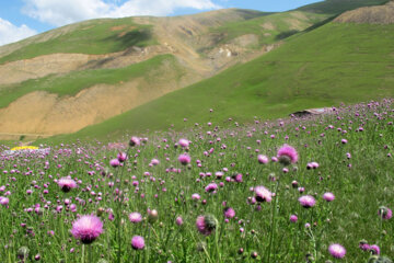 زیبایی های طبیعت در روستاهای ییلاقی پره سر