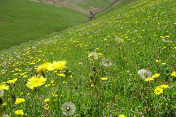 زیبایی های طبیعت در روستاهای ییلاقی پره سر