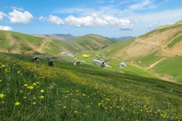 زیبایی های طبیعت در روستاهای ییلاقی پره سر