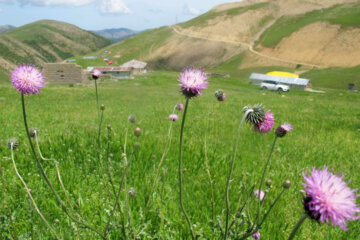 زیبایی های طبیعت در روستاهای ییلاقی پره سر