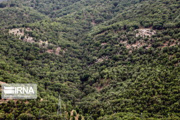 Khan Neck to Baneh city in western Iran beauties