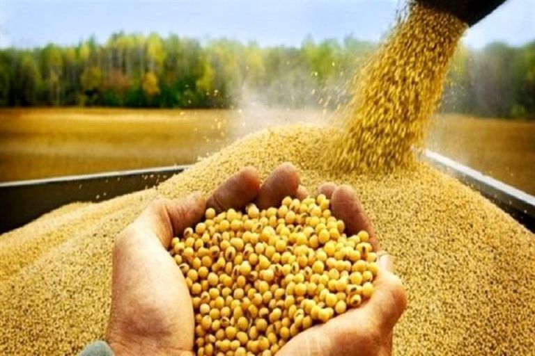 رشد ۱۰۰درصدی فعالیت تعاونی زنان روستایی در کشور