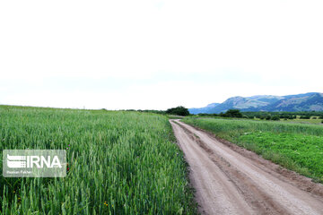 Naturaleza primaveral en el bosque Fandoqlu en Ardebil
