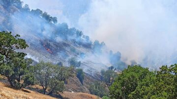 آتش بخشی از جنگل‌های سردشت در آذربایجان‌غربی را فراگرفت