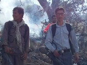 آتش‌سوزی در جنگل‌های ارسنجان فارس مهار شد