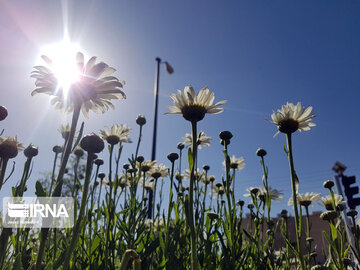 Le printemps dans les boulevards de Hamedan