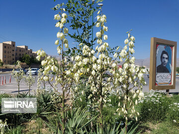 Le printemps dans les boulevards de Hamedan