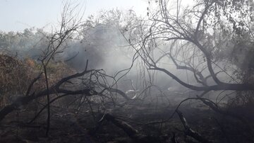 فرماندار: آتش سوزی در سردشت به طور کامل مهار شد
