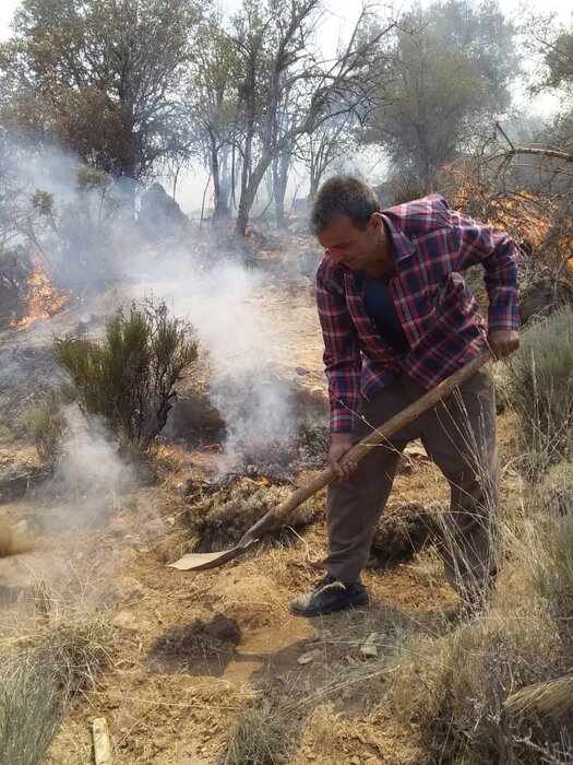 آتش‌سوزی در جنگل‌های ارسنجان فارس مهار شد