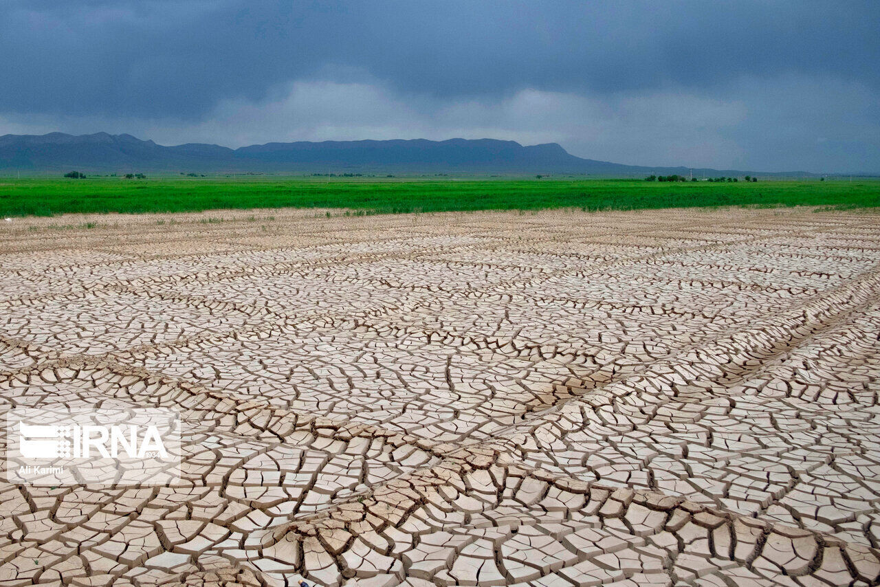 خشکسالی ۴۱ هزار میلیارد ریال به کشاورزی فارس خسارت زد
