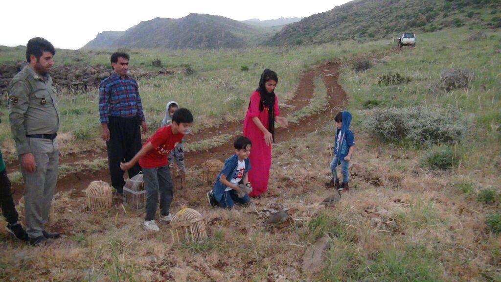 شکستن قلک کودکانه به نیت رهاسازی پرندگان در سروآباد