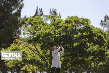 Iran : compétition nationale libre de golf féminin