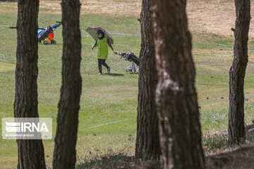 Iran : compétition nationale libre de golf féminin