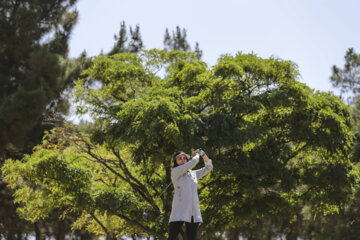 Tournement de golf féminin en Iran 