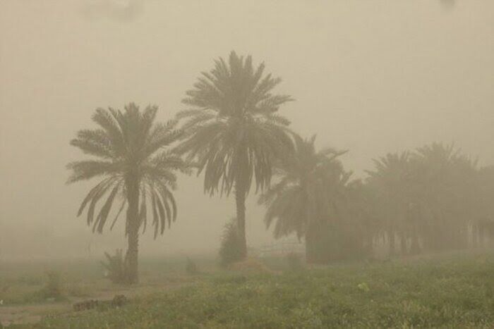 هواشناسی نسبت به ورود گرد و غبار فرامنطقه‌ای به فضای بوشهر هشدار داد

