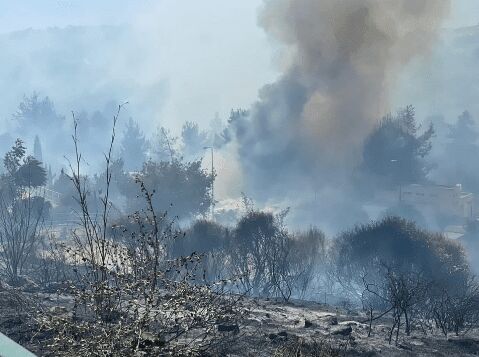 آتش سوزی گسترده در فلسطین اشغالی