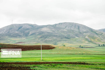 Spring nature in Zarrineh; western Iran