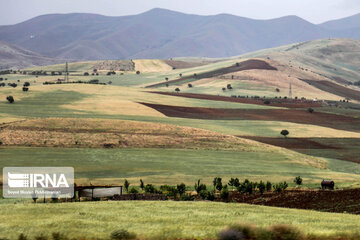 Spring nature in Zarrineh; western Iran