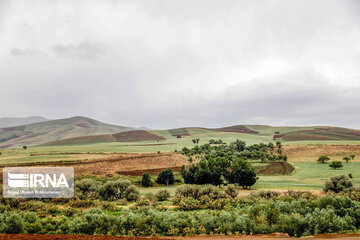 Spring nature in Zarrineh; western Iran