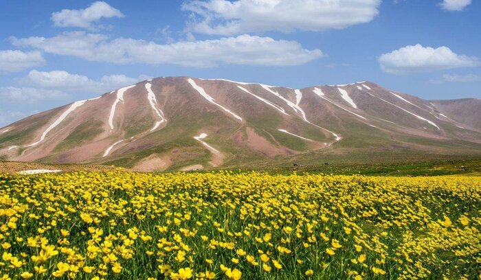 هفت شکارچی غیرمجاز در مراغه به دام افتادند