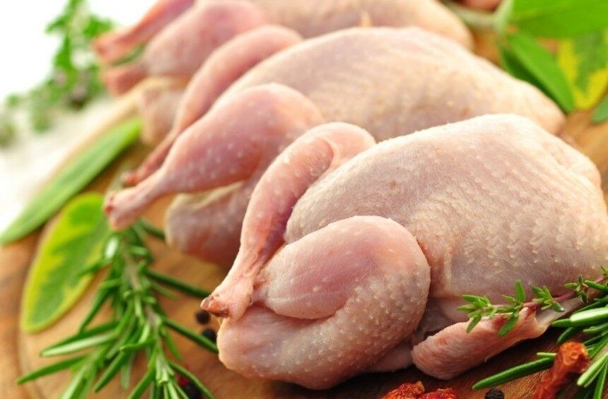 توصیه کارشناس تغذیه: شهروندان «مرغ سایز» خریداری کنند