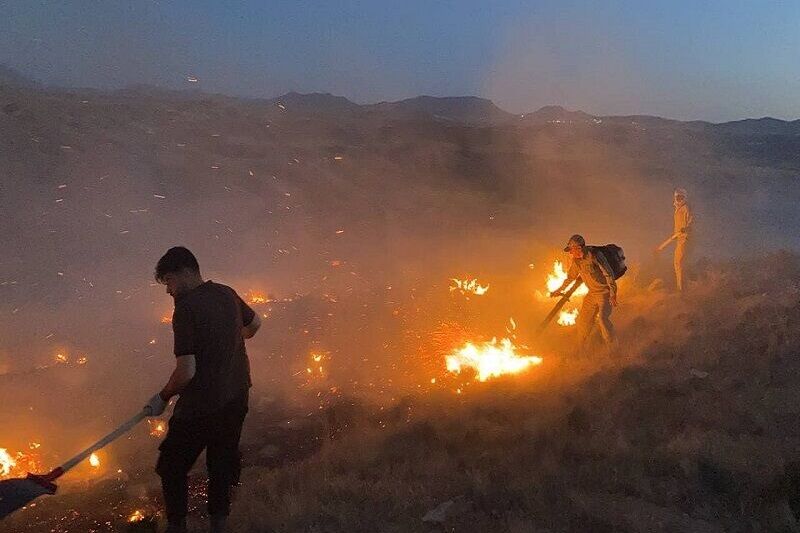 آتش‌سوزی در منطقه حفاظت شده بیجار مهار شد