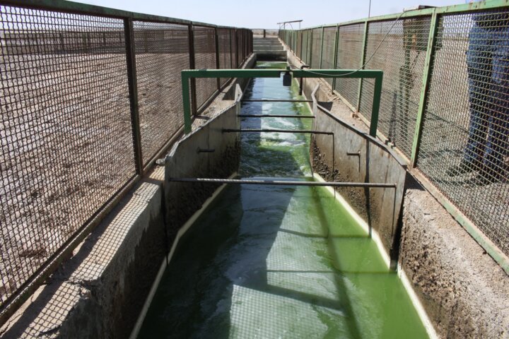 مدیرعامل آب و فاضلاب سمنان به گلایه شهروندان از کیفیت آب چه پاسخ داد؟