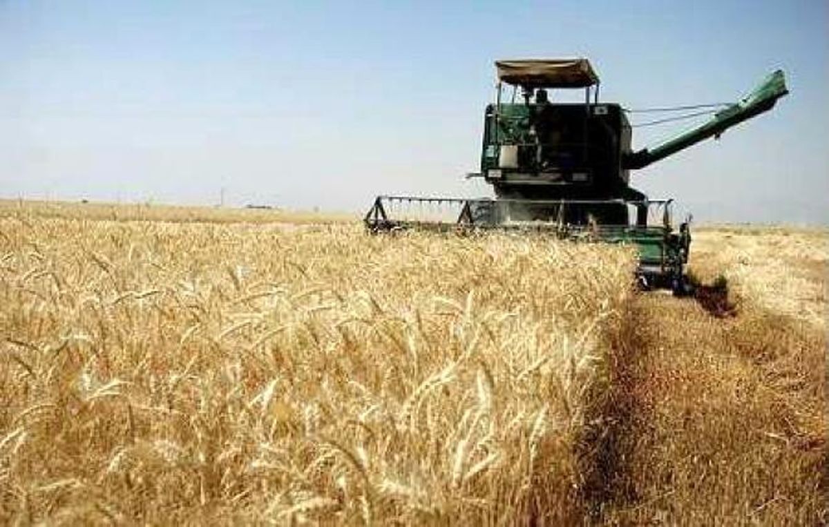 میاندوآب دومین شهرستان آذربایجان‌غربی در تولید بخش کشاورزی است