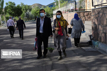 Le 15ème salon spécialisé des fleurs et des plantes à Tabriz