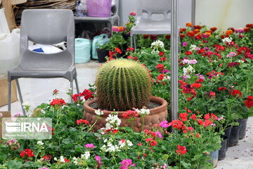 Le 15ème salon spécialisé des fleurs et des plantes à Tabriz