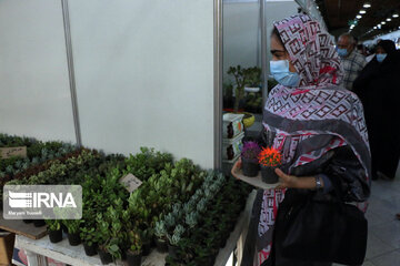 Le 15ème salon spécialisé des fleurs et des plantes à Tabriz