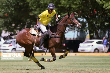 Malekin polo tournament