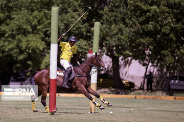 Malekin polo tournament