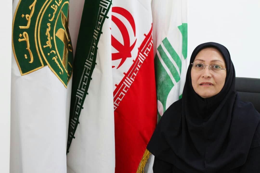 توجه به محیط زیست در کنار توسعه صنایع، معادله‌ای بُردبُرد است 