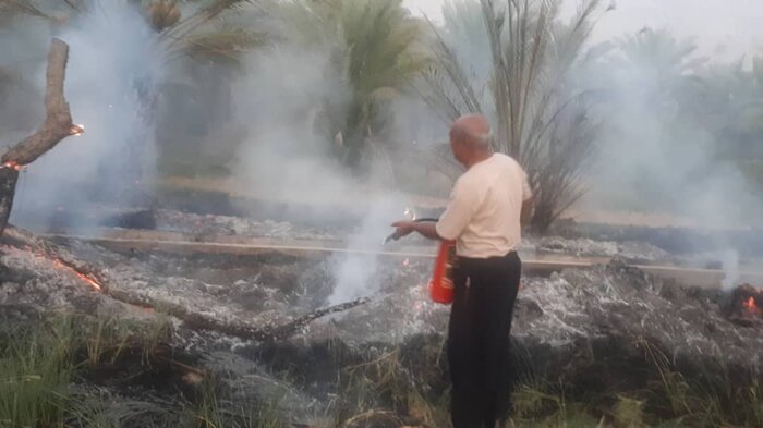 آتش‌سوزی نخیلات "رودفاریاب" دشتستان مهار شد